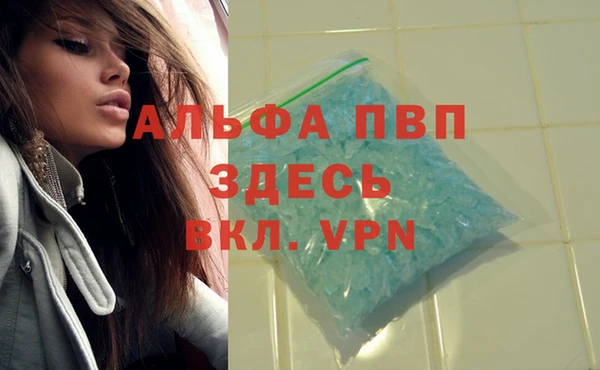мяу мяу мука Касимов