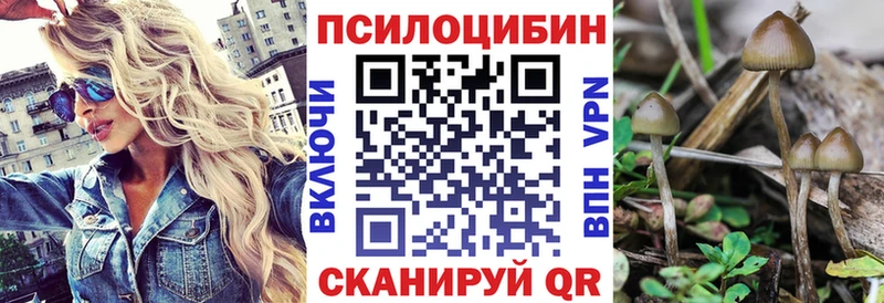 Купить  Белореченск  Галлюциногенные грибы мицелий 